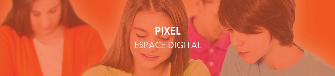 site compagnon
